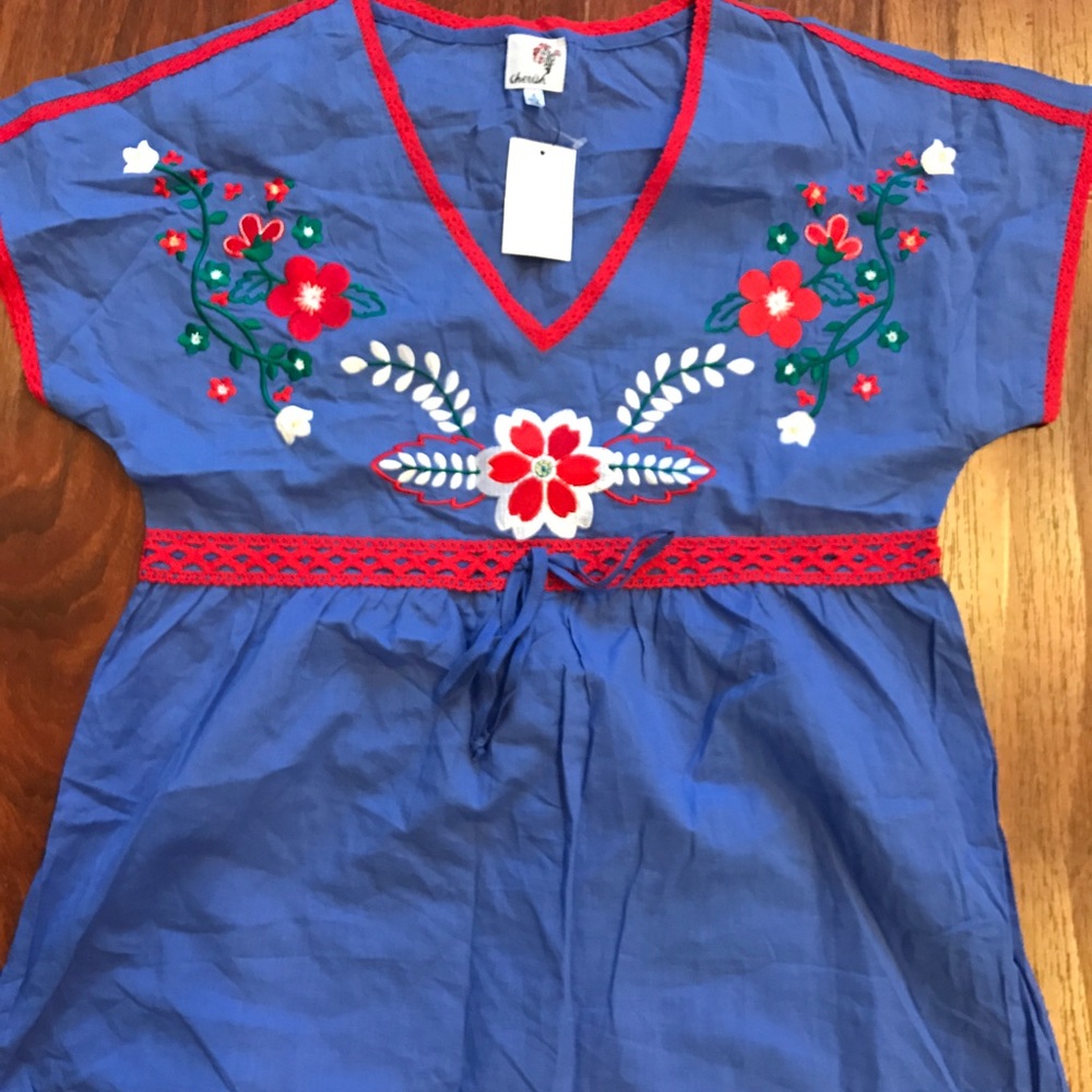Embroidered blue top